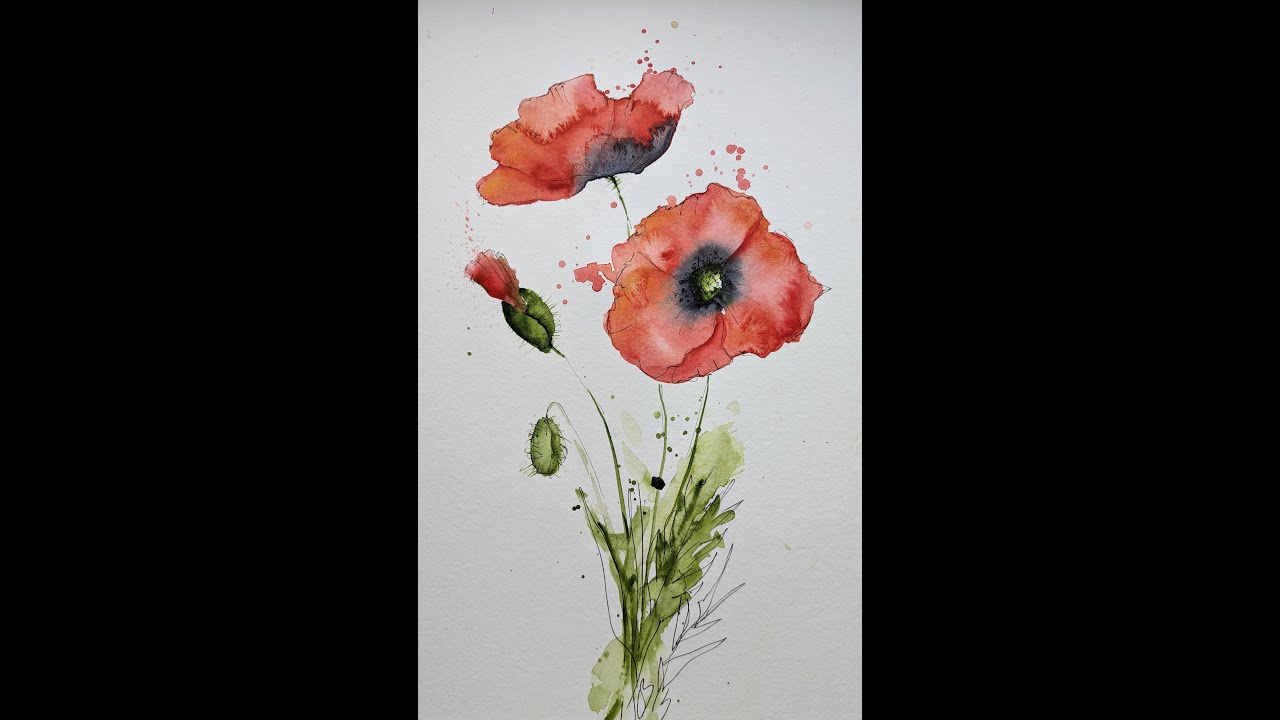 Loose Watercolour and fine liner poppies tutorial