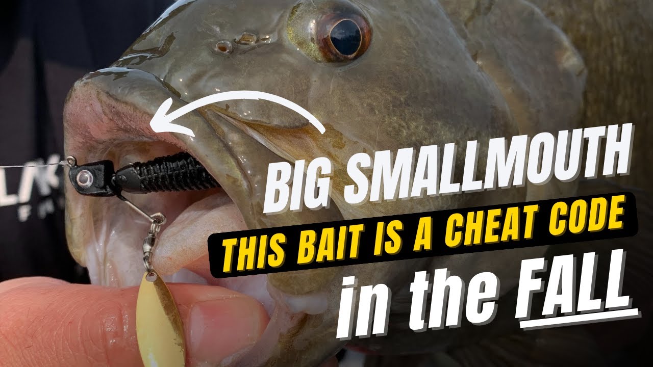CHEAT CODE FOR BIG FALL SMALLMOUTH! Out-fish everyone with the Great Lakes Finesse Sneaky Underspin
