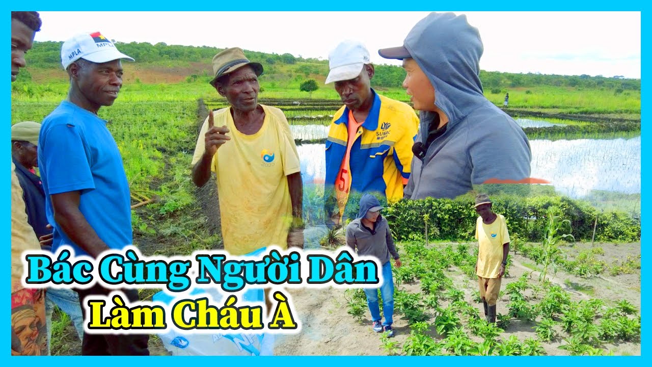 Hùng Kaka II Người Dân Bản Cũ Đã Làm Được Những Gì Trong Nông Nghiệp ?