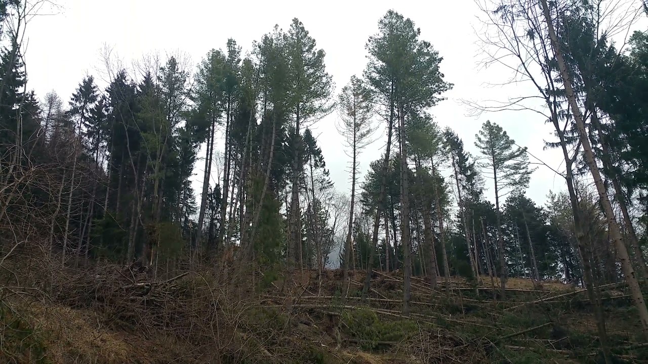 alla second'alpe (effetti tempesta)