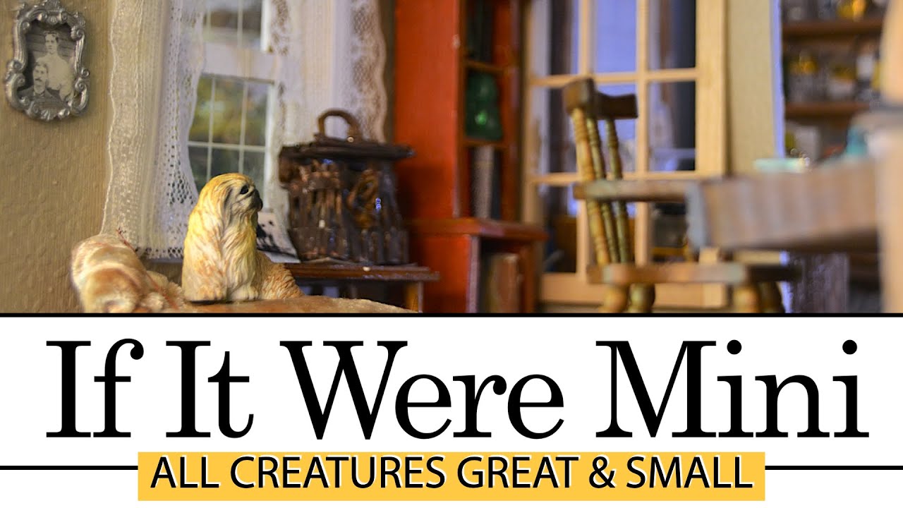 All Creatures Great and Small Dollhouse Siegfried's Office & Apothecary