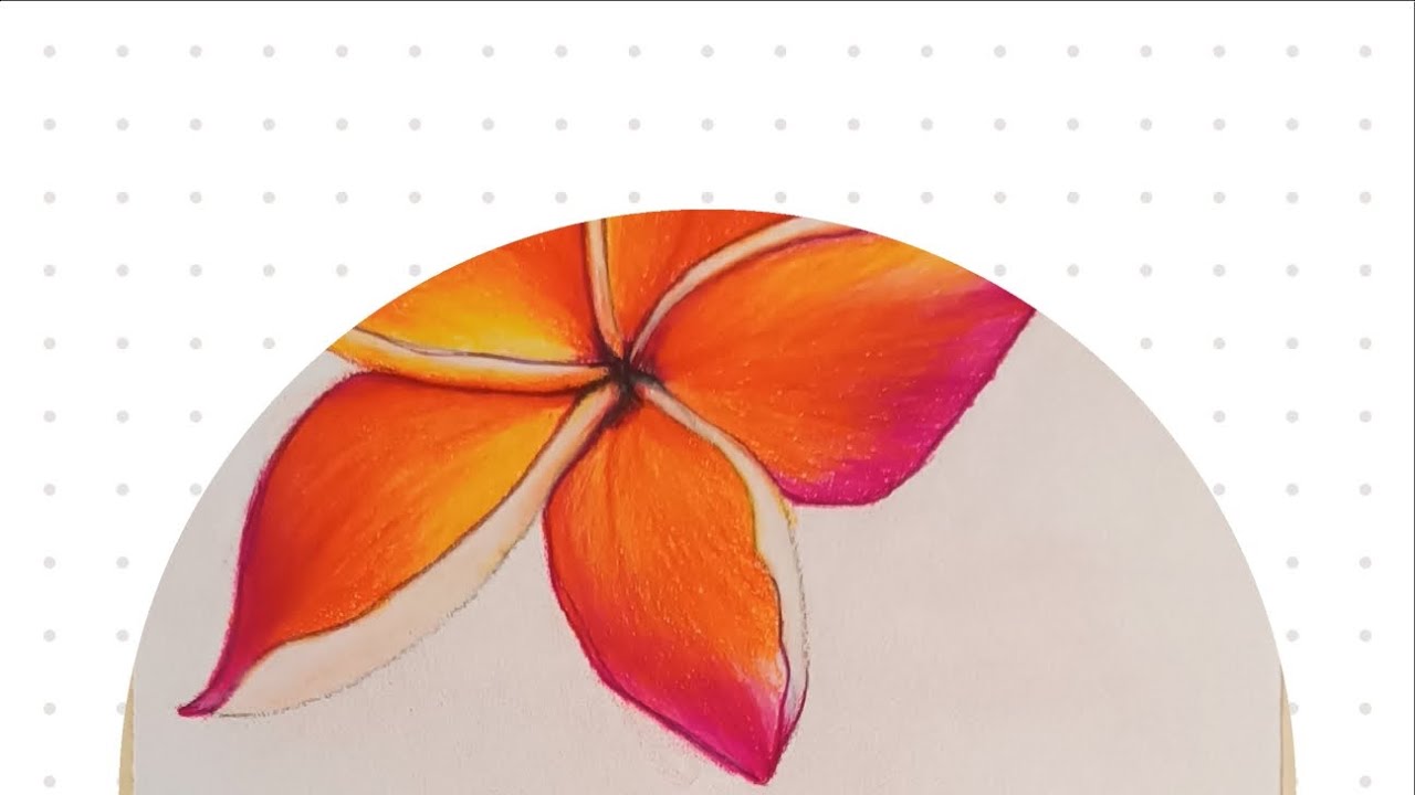 Buntstifte Vergleich Polychromos/Luminance/Holbein