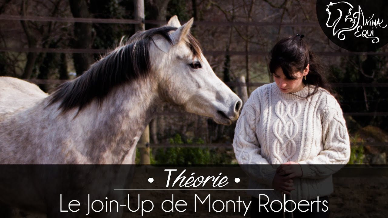 • THÉORIE • Le Join-Up de Monty Roberts