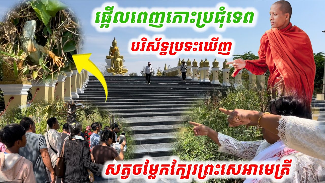 #ផ្អើលពេញកោះប្រជុំទេព#ប្រទះឃើញសត្វចម្លែក ក្បែរព្រះសេអាមេត្រី