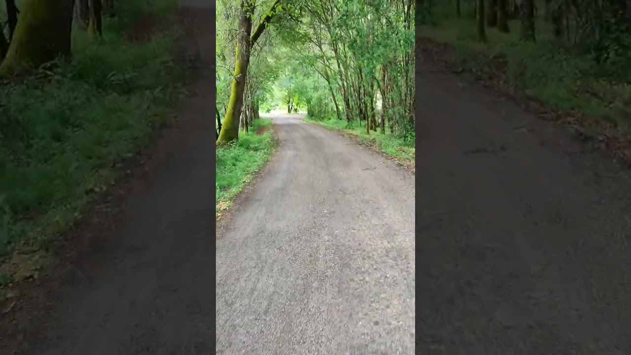 Caminho português interior de Santiago