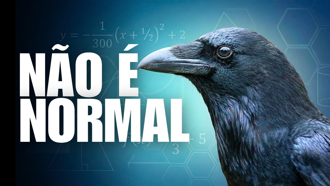 Esse Animal Tem Uma INTELIGÊNCIA PERTUBADORA!