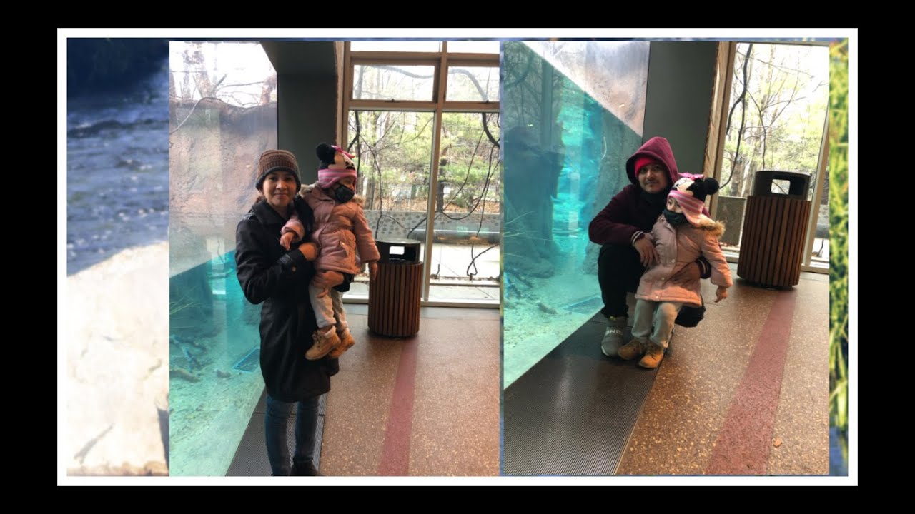 vamos al zoologico en chicago lincoln park