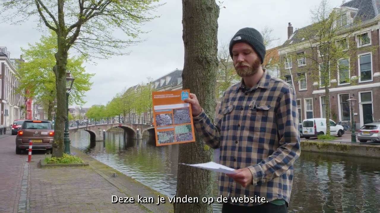 Verborgen Stads Natuur - Korstmossen