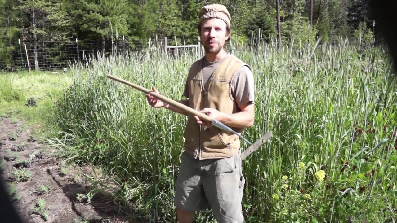 How to Use a Collinear Hoe -  a precision, low impact weeder for the veggie garden.