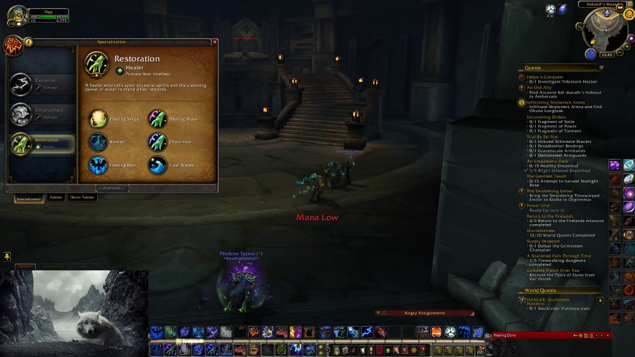 wow Danger Soulbinder Halldora