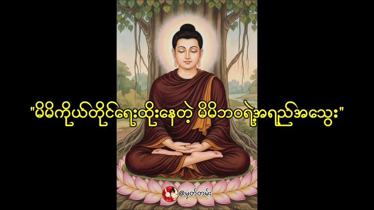 မိမိကိုယ်တိုင်ရေးထိုးနေတဲ့ မိမိဘဝရဲ့အရည်အသွေး@vibe_while_read #song #crd #music #motivational