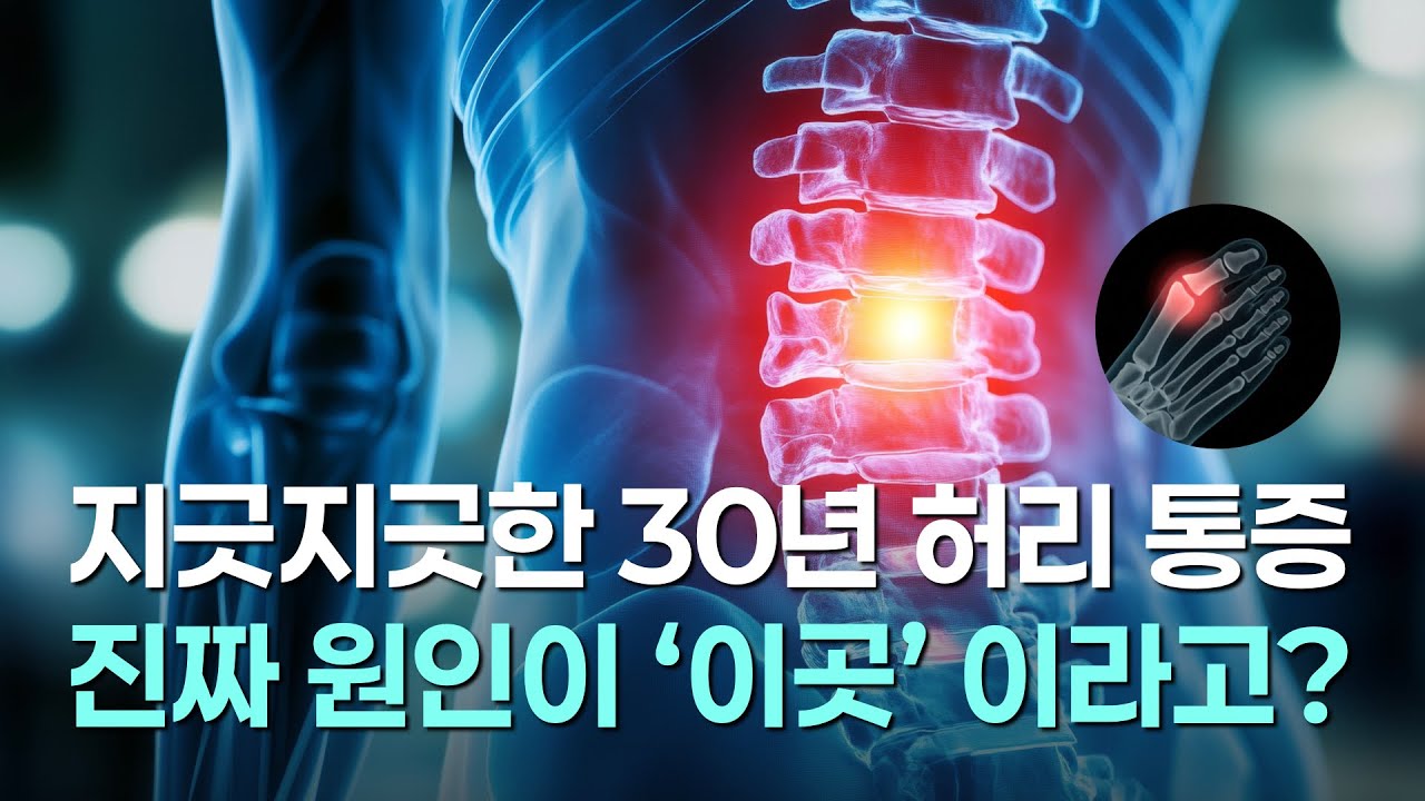 당신의 모든 통증은 '이곳'에서 시작됩니다 | 스본스도(KSS) 창시자가 밝힌 기적의 원리