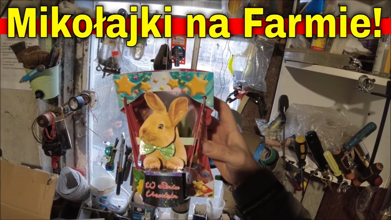 Mikolajki na Farmie. Kto to ogarnie?