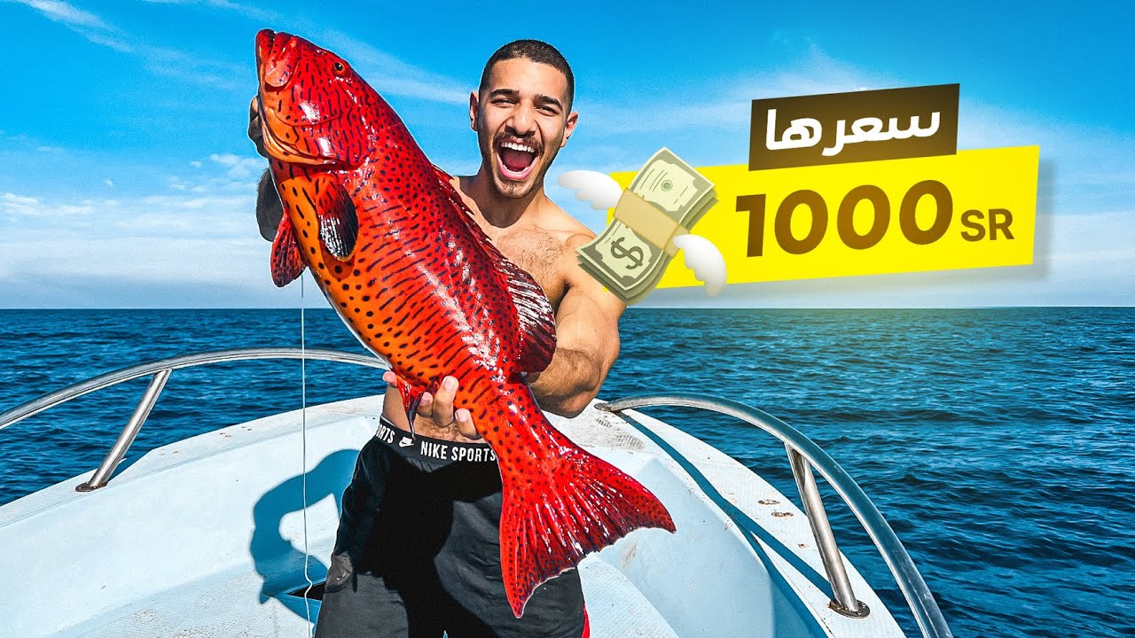 تحدي صيد أغلى سمكة في البحر الأحمر 💸🇸🇦
