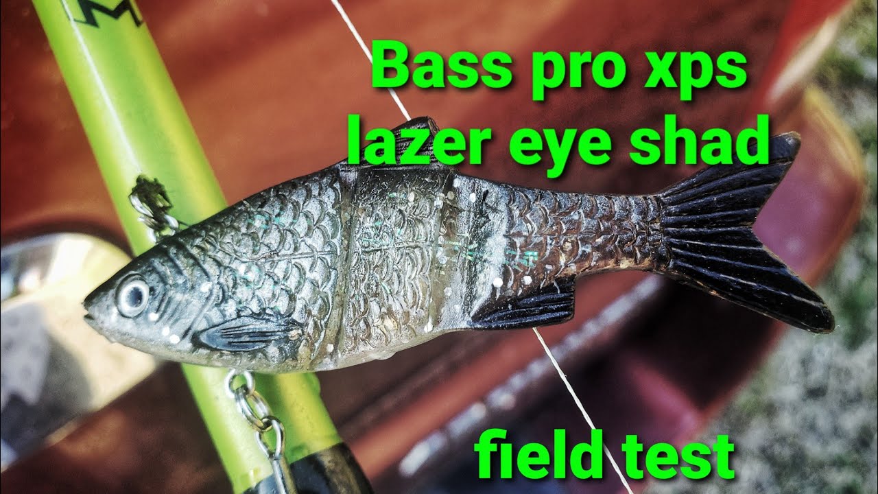 Bass Pro XPS lazer eye shad swimbait field test