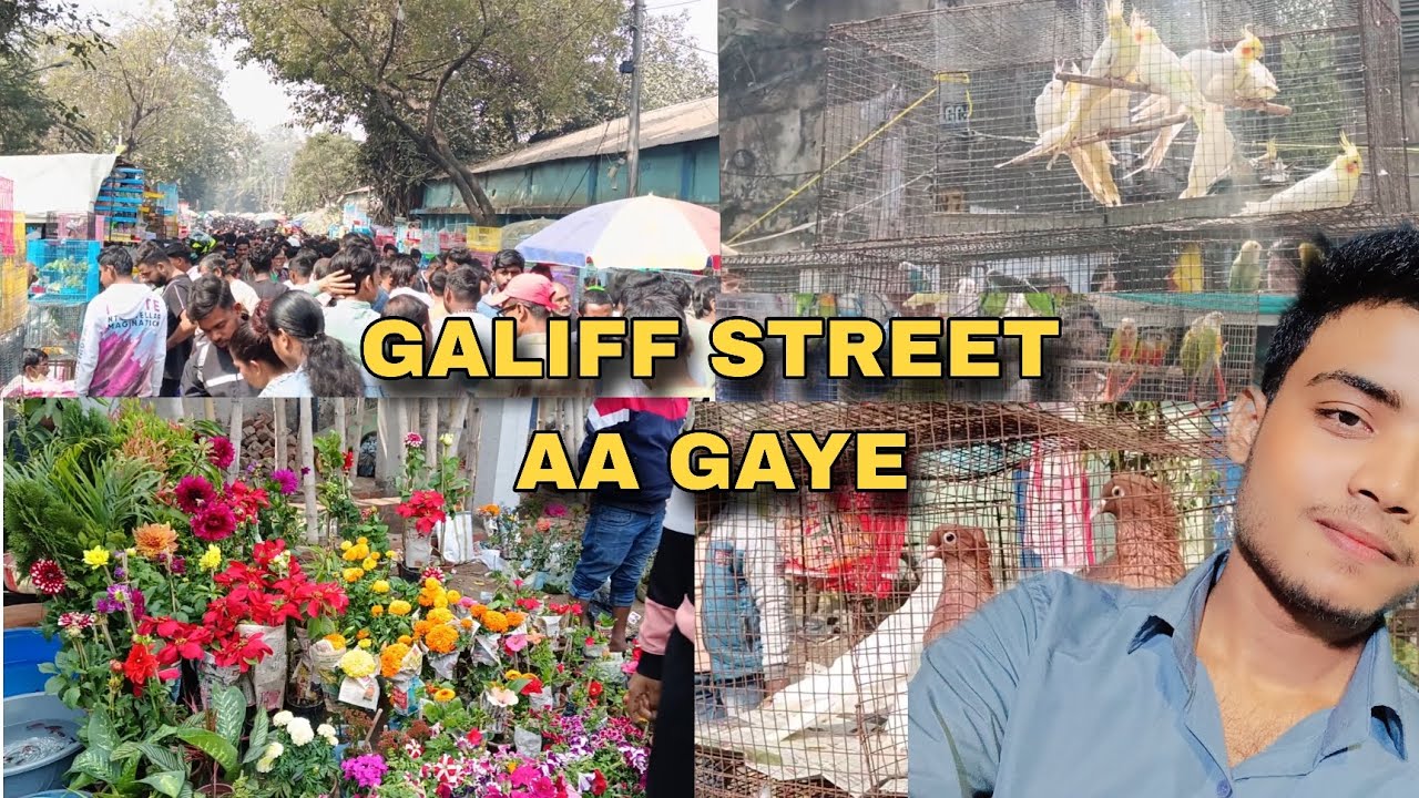 Visiting galiff Street || yah ham kaha a gaye