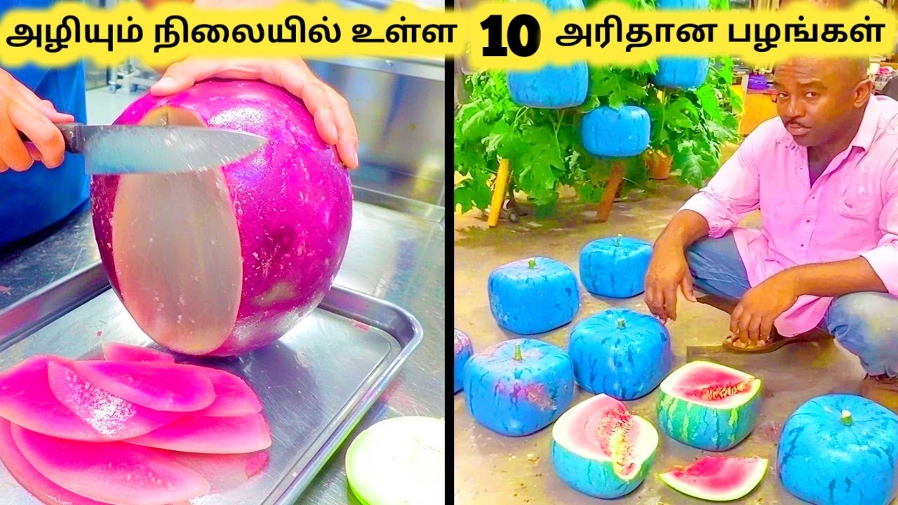 அரிதான பழங்கள் || Top Ten Most Unique Fruits in the world || Tamil Galatta News
