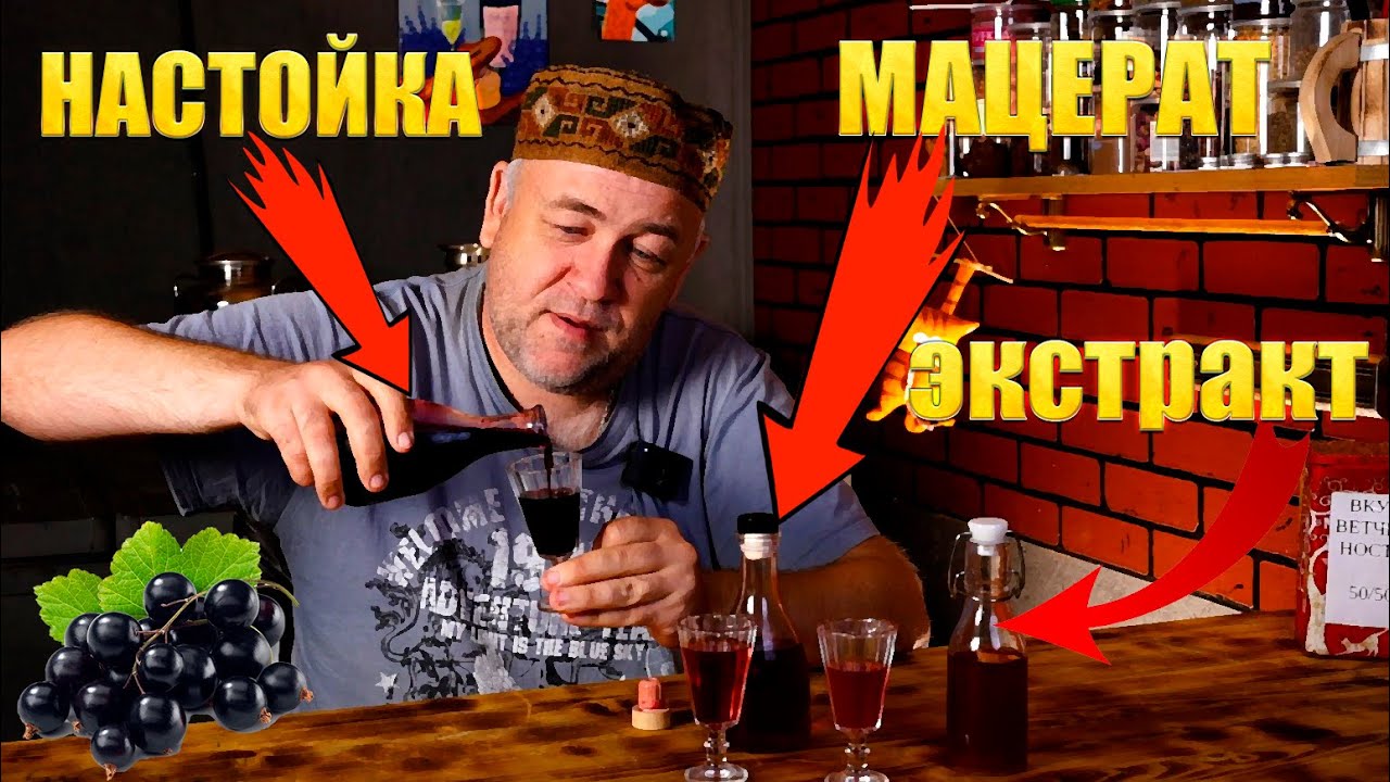 Лучшая настойка из черной смородины  Мацерат Водочка и Экстракт из Черной смородины