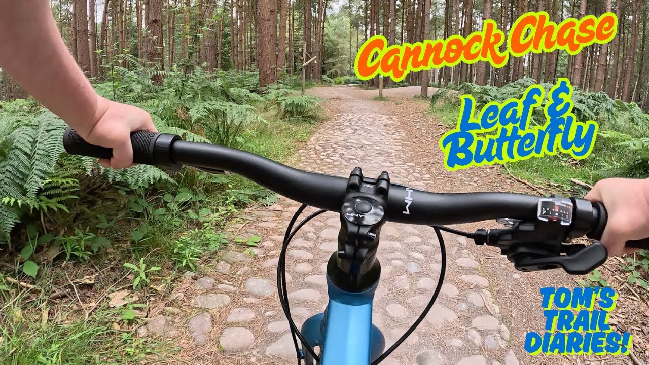 Tom Rides Leaf & Butterfly Trail Solo Adventure @ Cannock Chase | Confidence Growing at 7