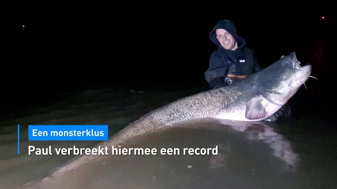 ZIEN: Paul vangt enorme meerval van 2,43 meter lang | Hart van Nederland