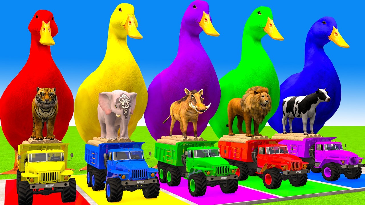 Long Slide Game With Cow Elephant Gorilla Hippopotamus Tiger 3d Animal Game Funny 3d Animals