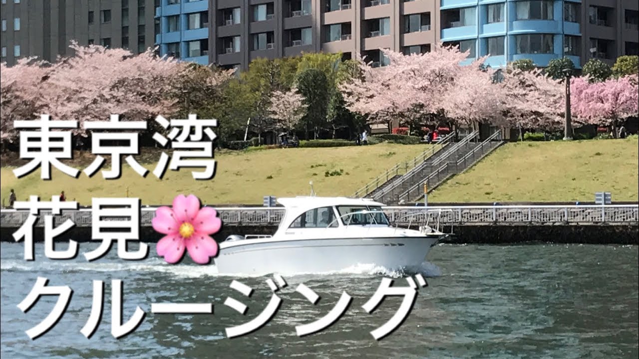 東京湾花見クルージング  ヤマハシースタイル ニューポート江戸川