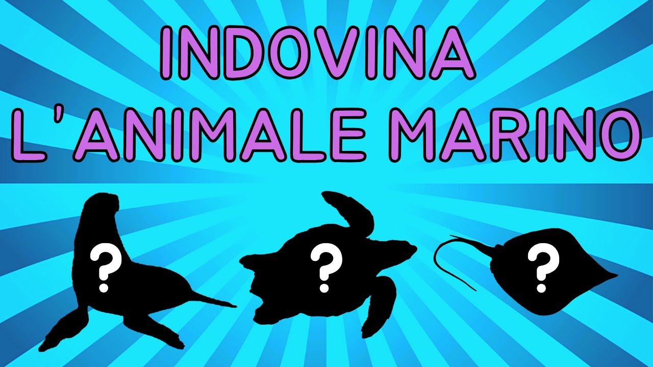 🦀 Indovina l'Animale Marino dalla Sagoma 🦭