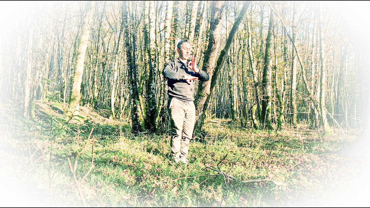 Cours de Zhineng Qigong pour activer ta glande pinéale et développer ton canal d'énergie