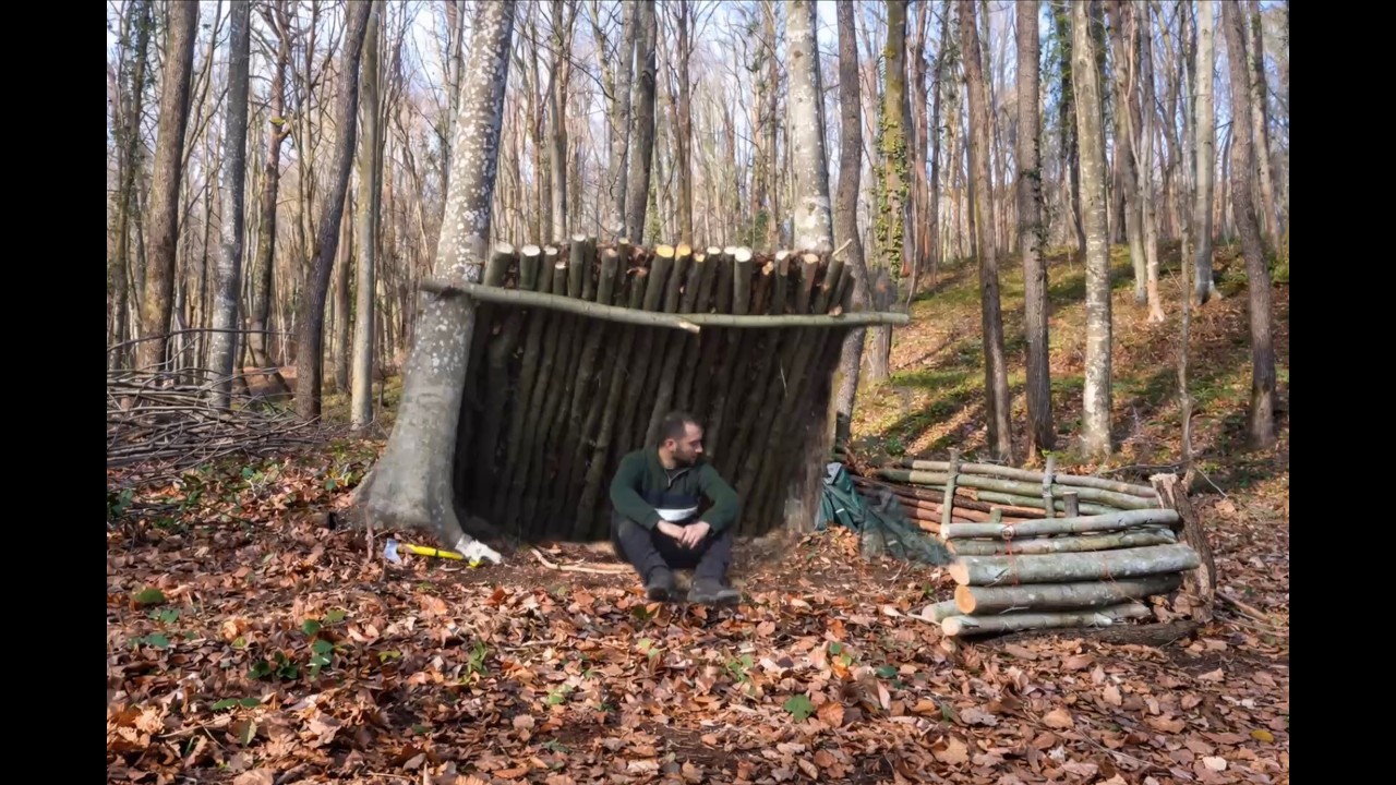 I Slept in a Shelter Made From a Fallen Tree… Here’s What Happened #shelter #camping #bushcraft 