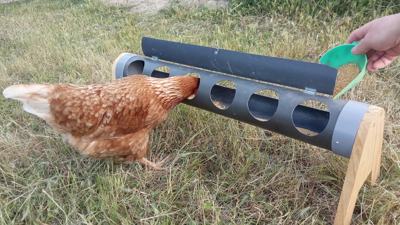 Como Hacer un comedero para nuestras Gallinas / Comedero Casero con tubo de PVC