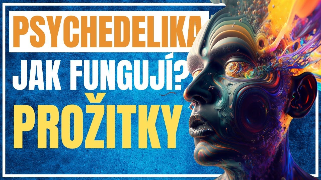 Jaký Mají Psychedelika Potenciál? Na co si dát Pozor?