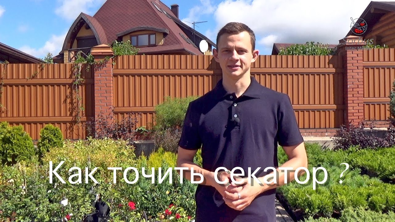 Как и чем точить садовый инструмент? Можно ли точить кусторез, секатор, садовую пилу ?