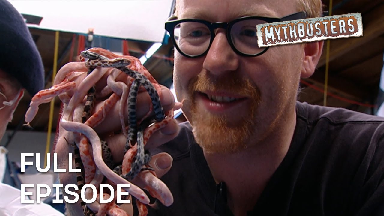 A Son Of A Gun! | MythBusters | Season 2 Episode 33 | Full Episode