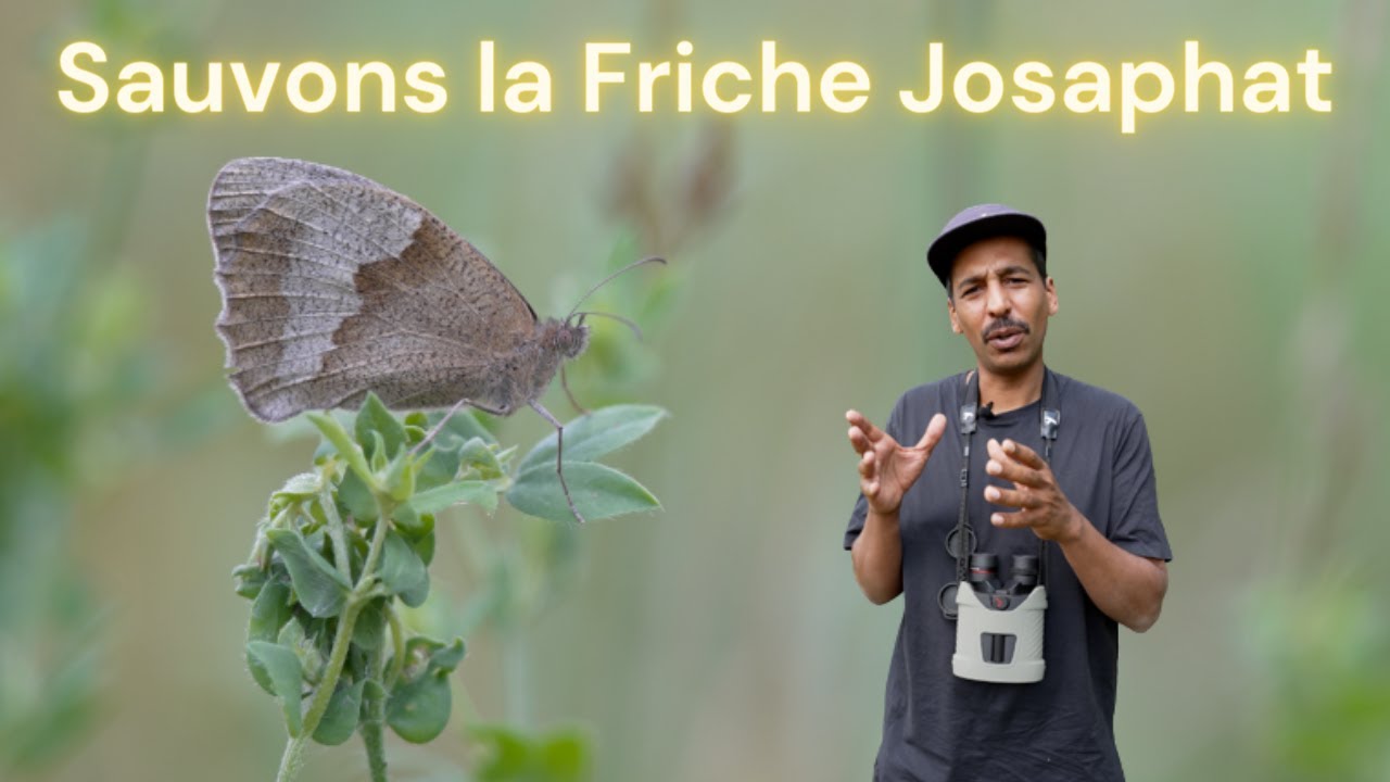 LA FRICHE JOSAPHAT, une zone à très HAUTE VALEUR BIOLOGIQUE !