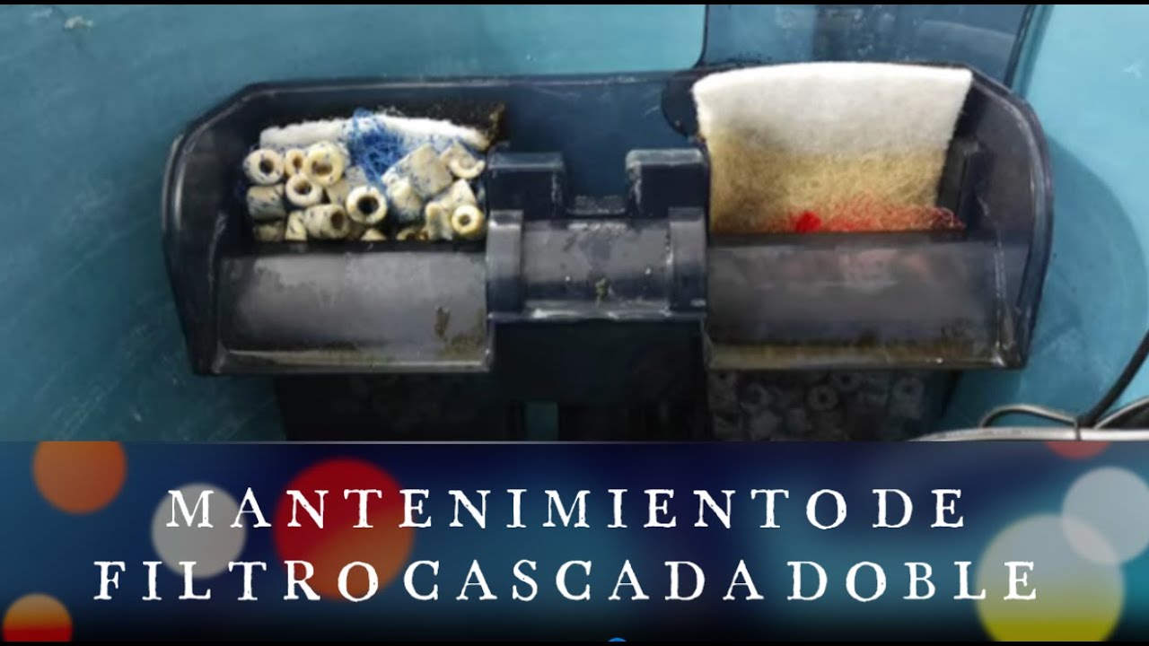 MANTENIMIENTO A FILTRO DE CASCADA DOBLE  SUNNY SHF-1000 / ACUARIO ZACATECAS