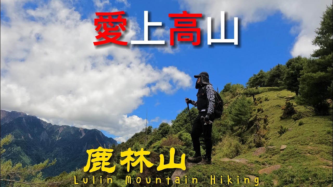 愛上高山 - 鹿林山步道 Lulin Mountain Trail
