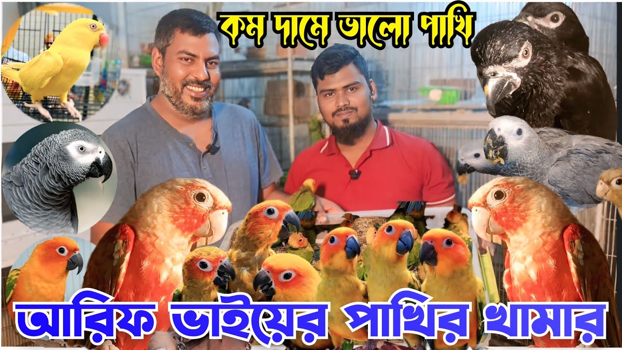 আরিফ ভাইয়ের পাখির খামার ৮৫০০ টাকায় সানকুনের পাখি ডেলিভারি চার্জ ফ্রি Arif Pet's Guide।