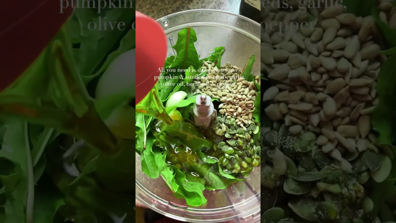 Wild dandelion pesto 🌿 #foragedfood #forager #foraging #foragingforfood #herb #herbs #greenrecipes