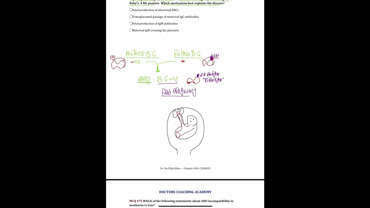 Haematology Mock Eplanation Part 8