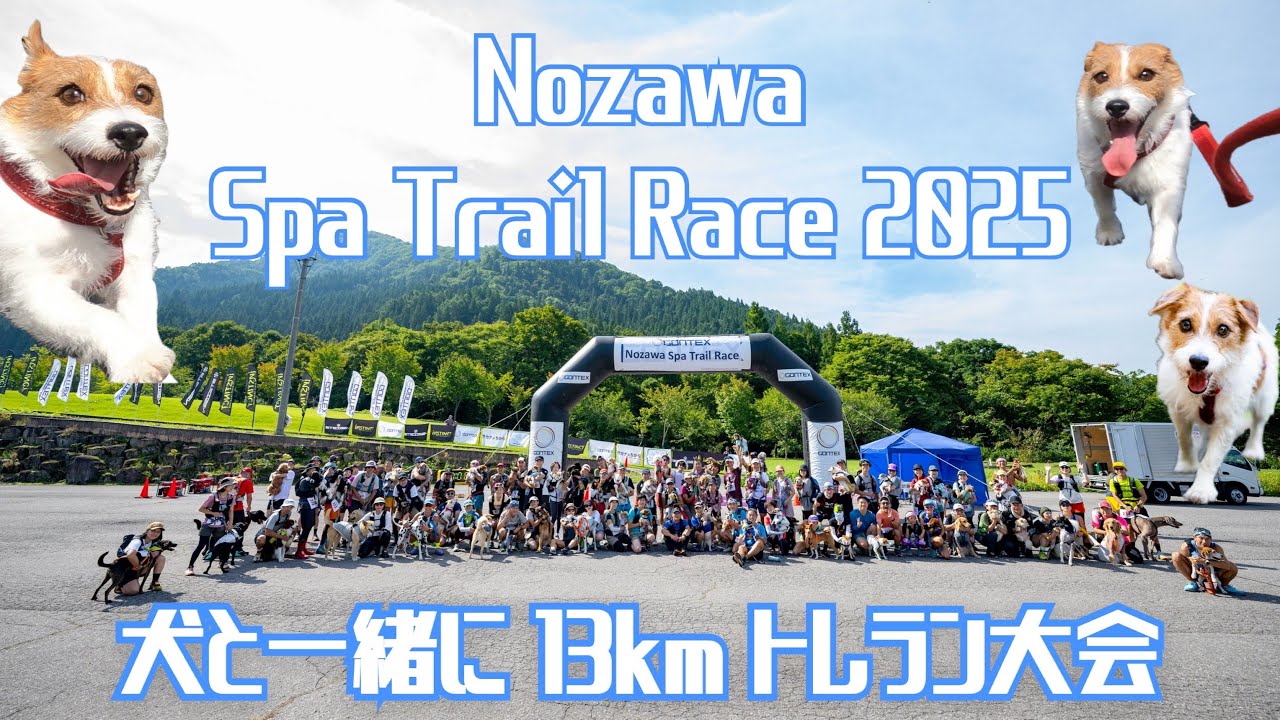 犬と出られるトレラン大会 13km　Nozawa Spa Trail Race 2025 / Trail running race with dogs in Japan canix gontex