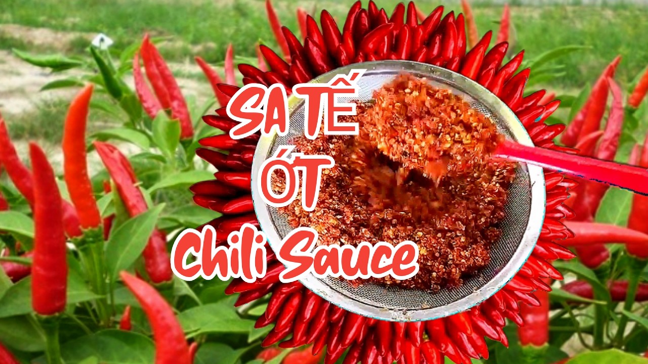 MẸO CHẾ BIẾN| Cách xào ớt khô làm nguyên liệu sa tế cực chuẩn siêu thơm ngon ăn phê hoa mắt #video