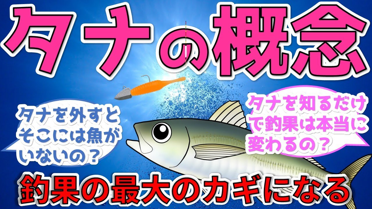 【タナの概念】魚の泳層をつかみ、そこに仕掛けを送り込むテクニックの基本