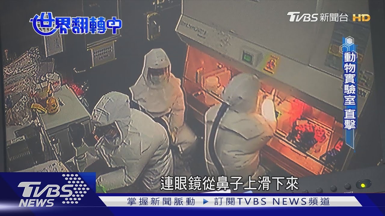 【世界翻轉中】新冠病毒 台灣唯一P3動物實驗室 直擊