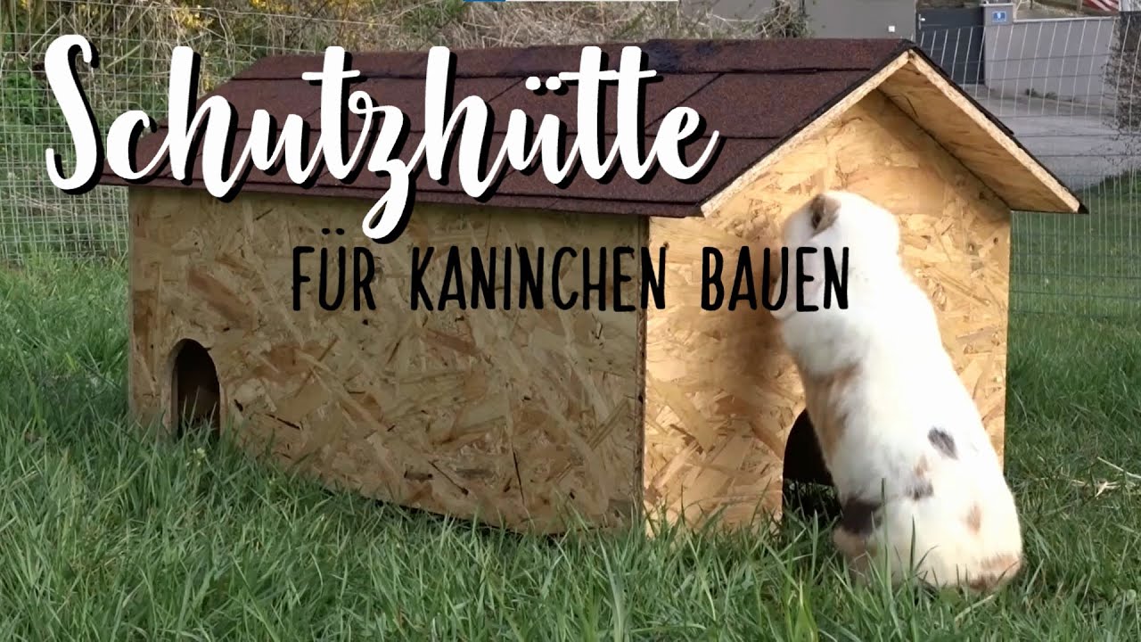 DIY Kaninchenhaus bauen🔨