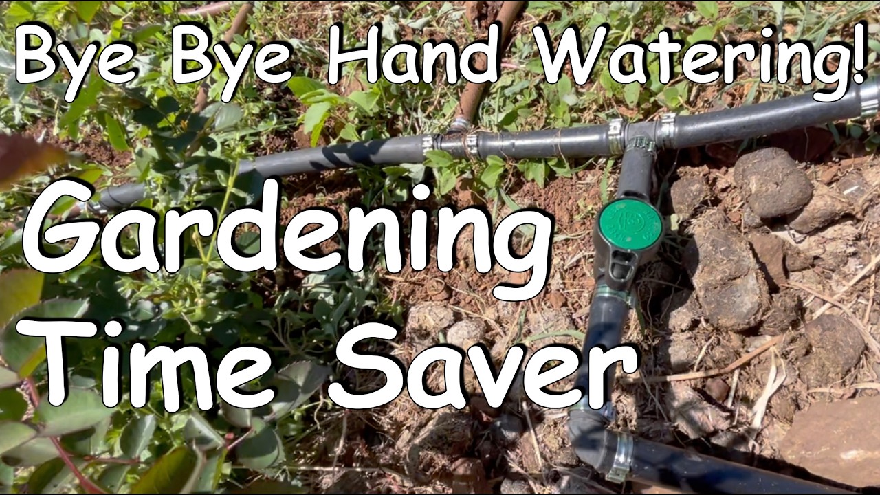 Drip irrigation. A better way to water your garden.