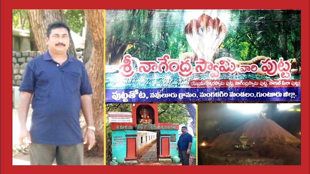 @PVR_TV || nowluru Putta || Mangalagiri || మంగళగిరి. నవులూరు పుట్ట. || By PVR TV