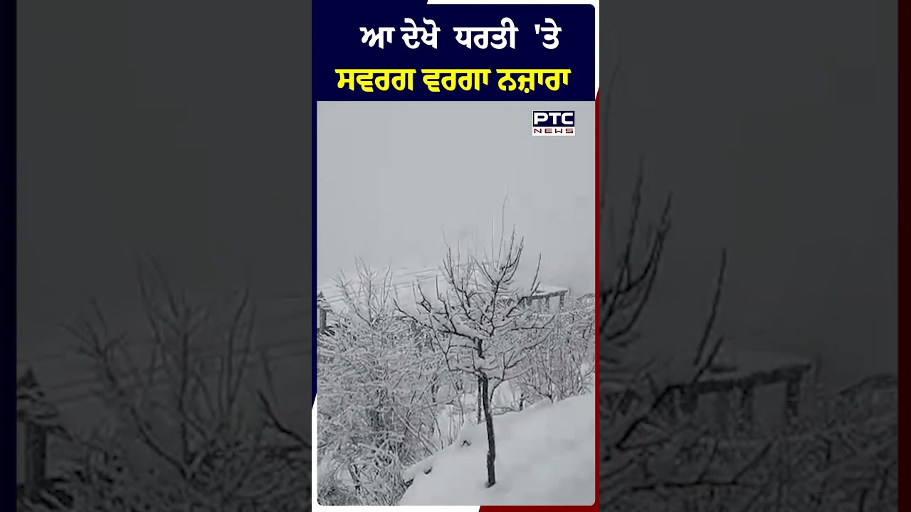 ਪਹਾੜਾਂ 'ਚ Snowfall ਦਾ ਖੂਬਸੂਰਤ ਨਜ਼ਾਰਾ, ਵੀਡੀਓ ਦੇਖ ਖਿੜ ਜਾਏਗਾ ਚਿਹਰਾ