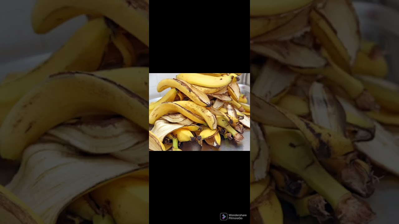 ASTUCES TOP ENGRAIS NATUREL EST PUISSANT 