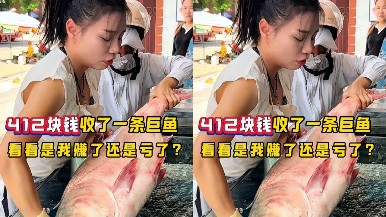 花412元收了一条巨鱼，看看是我赚了还是亏了？