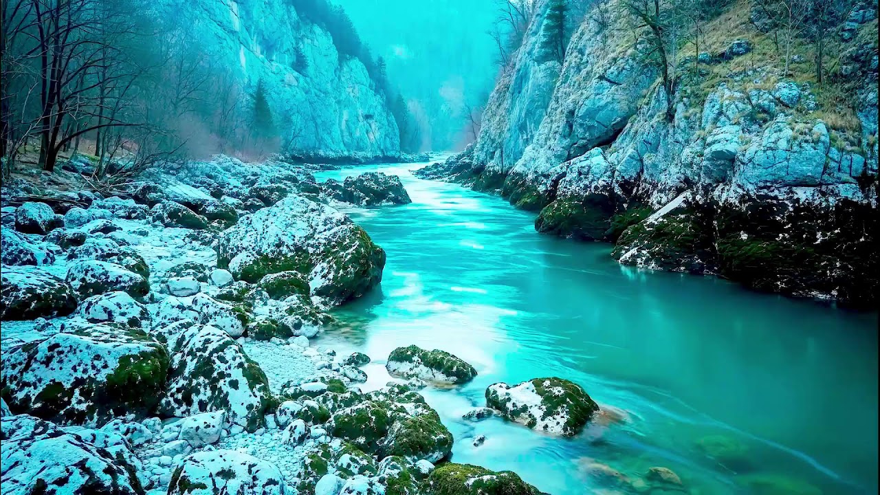 Gentle River Sound for Deep Sleep | Soothing Audio Therapy for Mental Wellness